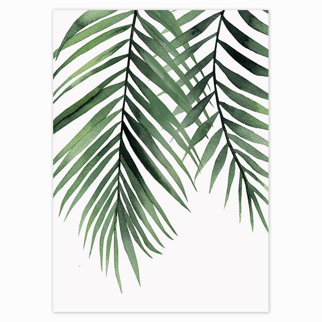 Tropical Plants Images