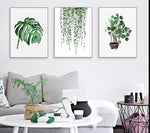 Tropical Plant Painting