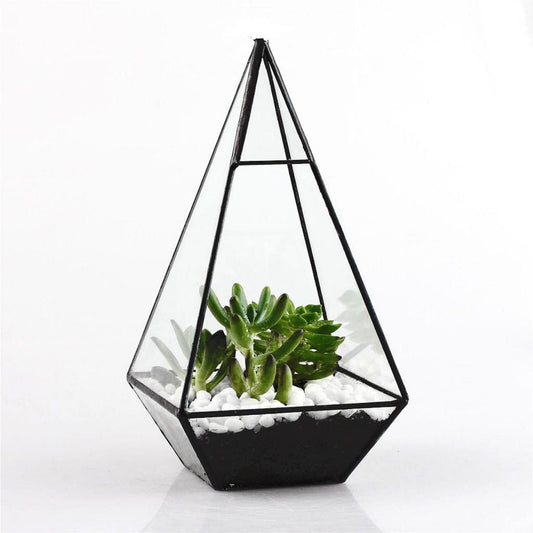 Pyramid Glass Geometric Terrarium Box - Lala Lamps Store