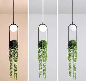 hanging light planter