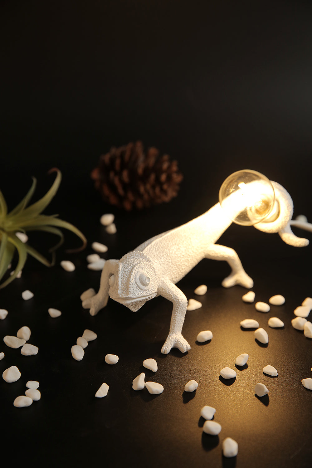 Chameleon Modern Table Lamp